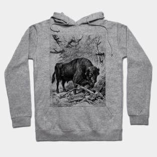 Bison Wildlife Illustration Hoodie